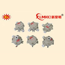 AH51系列防爆接線(xiàn)盒(ⅡB、ⅡC)